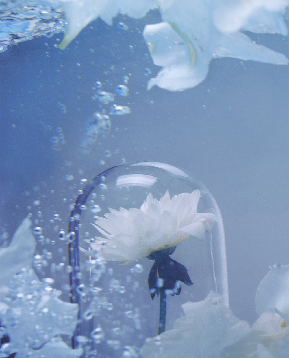 MATTHEW CHANG – BE MY MUSE Eau de Parfum