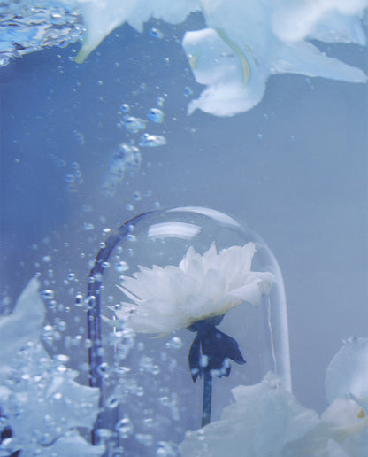 MATTHEW CHANG – BE MY MUSE Eau de Parfum